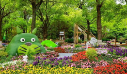 动漫花园,探索奇幻世界的奇幻之旅
