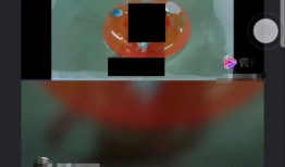 短视频 色,捕捉瞬间光影的艺术