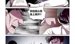 双性动漫,双性动漫的魅力与启示