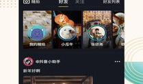 抖音短视频低版本,重温经典，回顾低版本魅力时光
