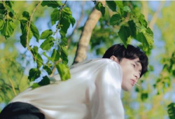 张艺兴爆料吃瓜四大瓜,揭秘娱乐圈四大神秘瓜料