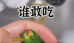 15吃瓜热门爆料正能量,15大热门爆料暖心瞬间