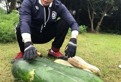 南体奥院吃瓜爆料,吃瓜爆料揭秘校园幕后故事