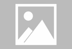 久久短视频在线观看,尽享在线观看盛宴