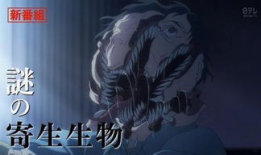 重口味动漫,重口味动漫的惊悚之旅